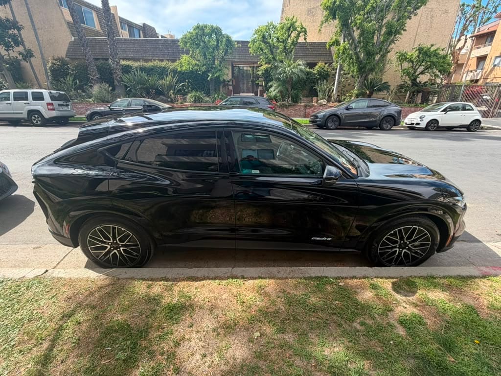 Black Ford Mustang Mach-E parked on a tree-lined street